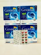 Ginkgo Biloba Extract Coenzym Q10